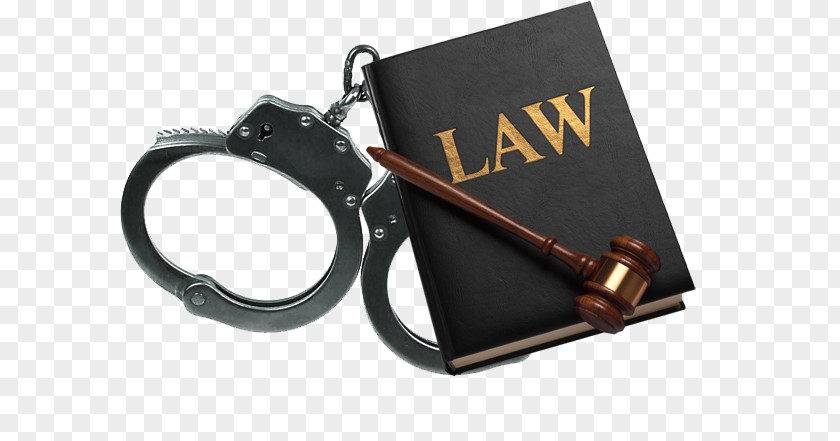 Lawyer Legal Aid Bankruptcy Criminal Law PNG