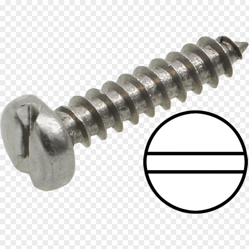 Mbl Electroplating 1 Kings Screw 2 Fastener PNG