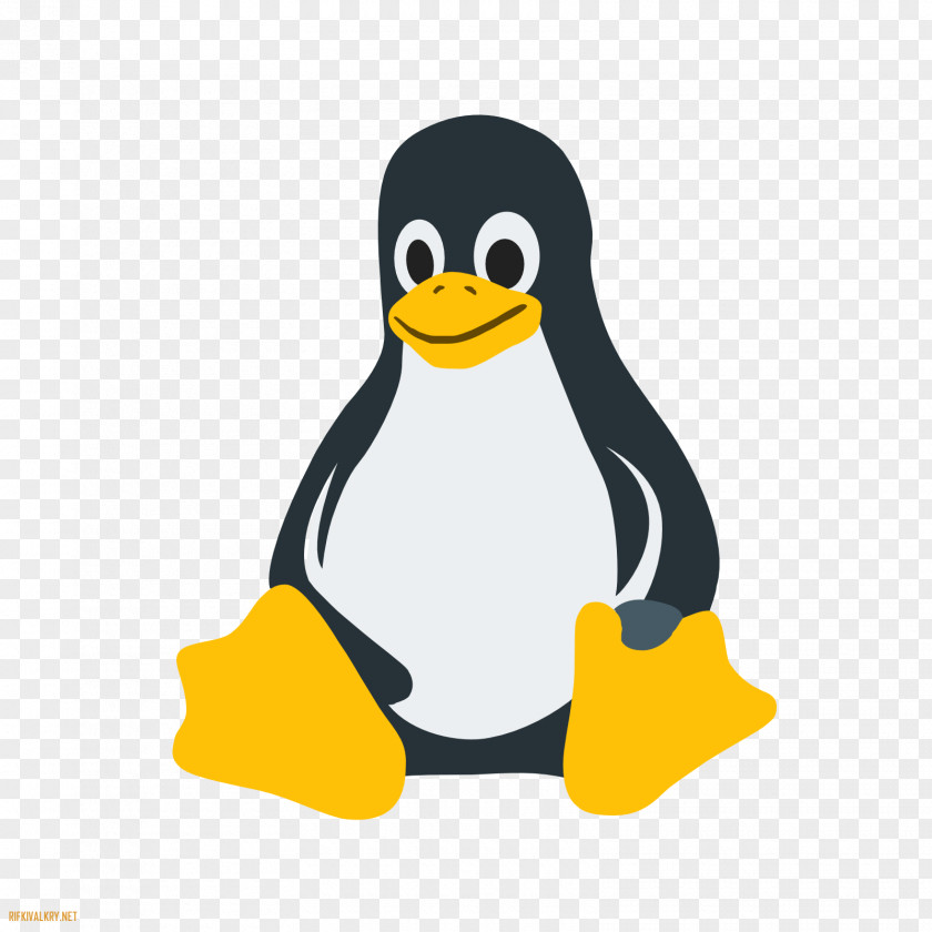 Operating Linux Distribution Systems Ubuntu PNG