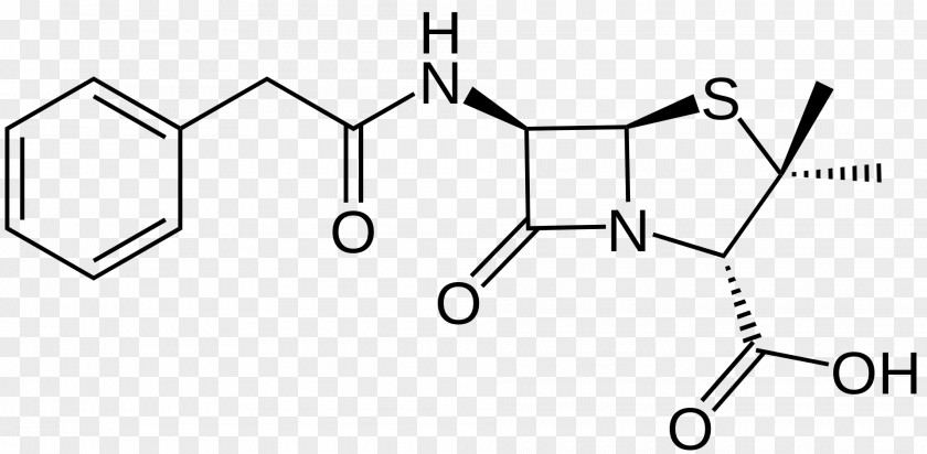 Penicillin Benzylpenicillin Ampicillin Beta-lactamase β-Lactamase Inhibitor PNG