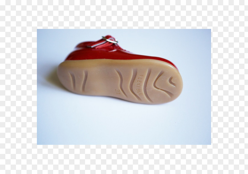 Sandal Shoe PNG