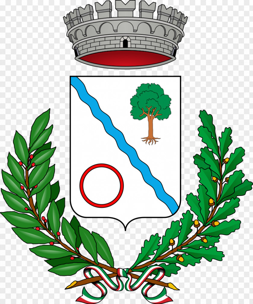 Symbol Coat Of Arms Agira Peschiera Borromeo Heraldry Piazza Armerina PNG