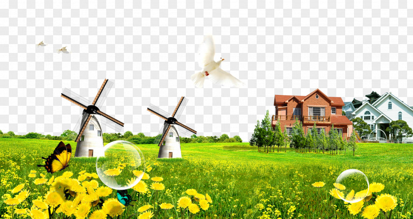 Green Grass House Peace Dove Clip Art PNG