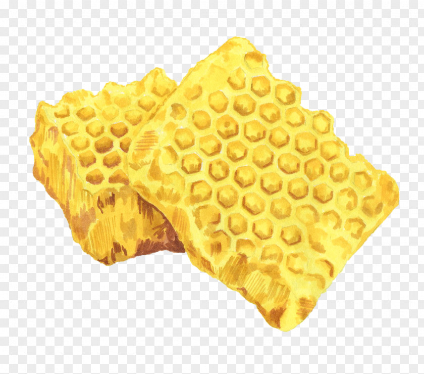 Honey Yellow Honeycomb Wafer PNG