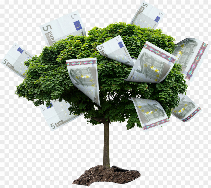 Tree Stock Photography Drawing Money PNG