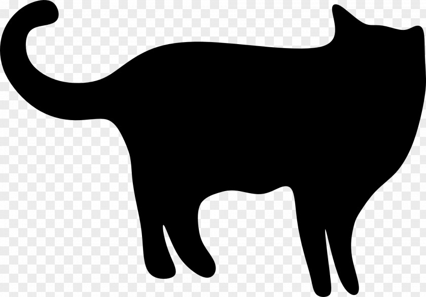 Black Cat Silhouette Photography PNG