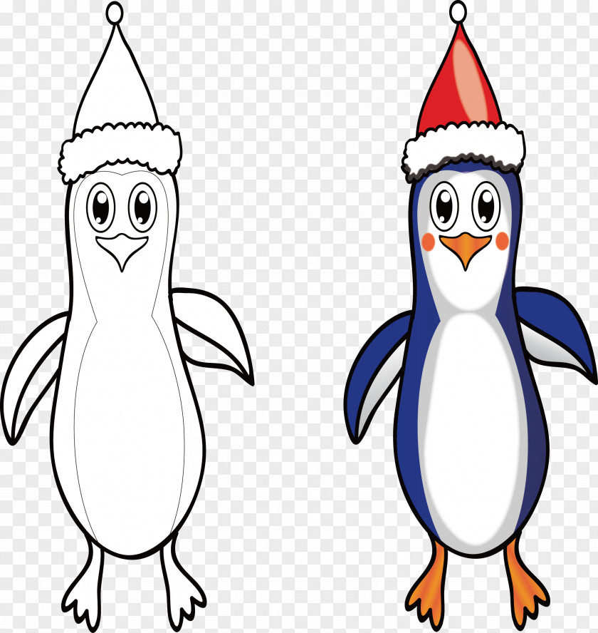 Cartoon Penguins Little Padding Penguin Drawing Clip Art PNG