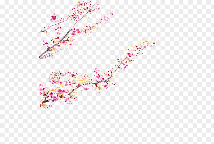 Cherry Blossom Pink M Petal ST.AU.150 MIN.V.UNC.NR AD PNG