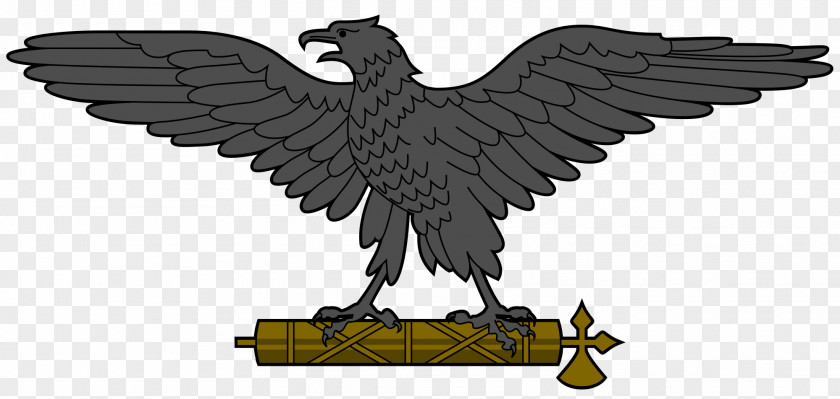 Eagle Italian Social Republic Kingdom Of Italy Second World War Flag PNG