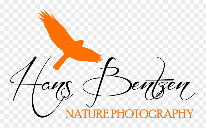 Nature Photography Day Wildlife Photographer Logo PNG