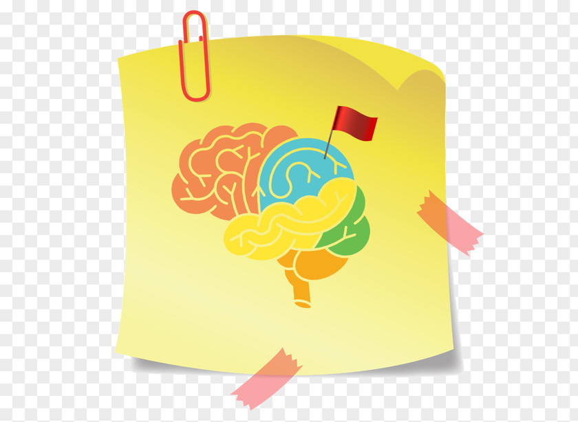 Brain Vector Graphics Illustration Logo PNG