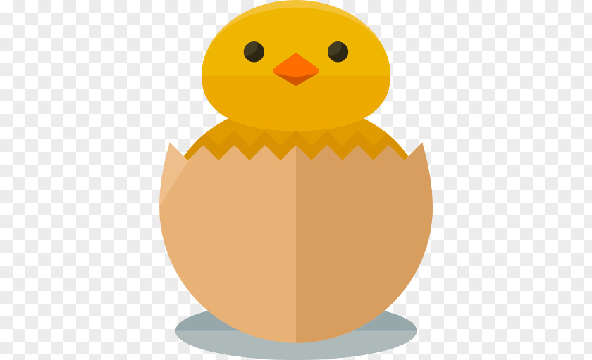 Chick Chicken Farm Icon PNG