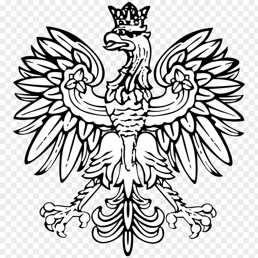 Coat Of Arms Poland Eagle Flag T-shirt PNG