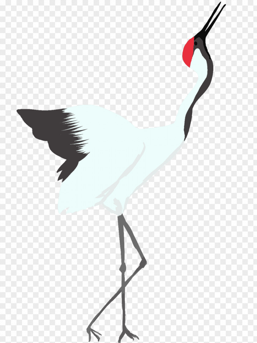 Crane Water Bird Stork PNG