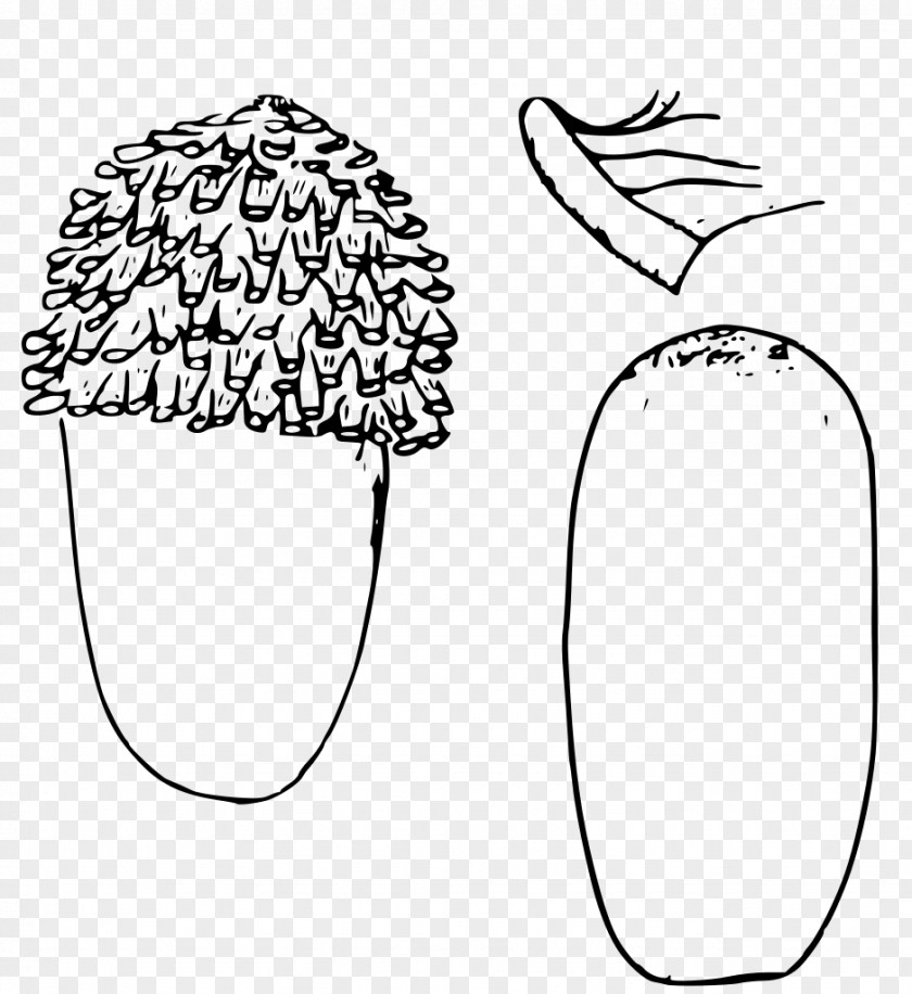 Eye Hat Leaf Drawing Clip Art PNG