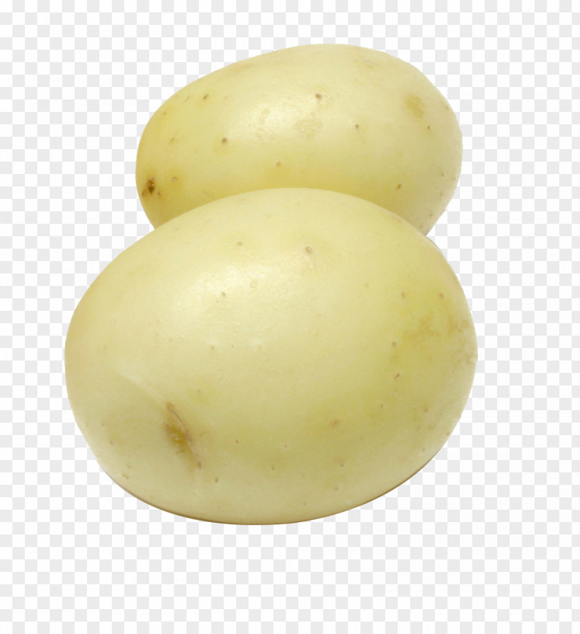 Potato Yukon Gold Tudou.com Video Hosting Service PNG