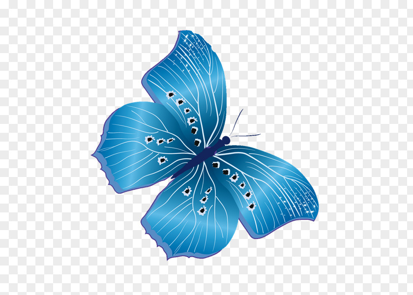 Sr Butterfly Insect Clip Art PNG