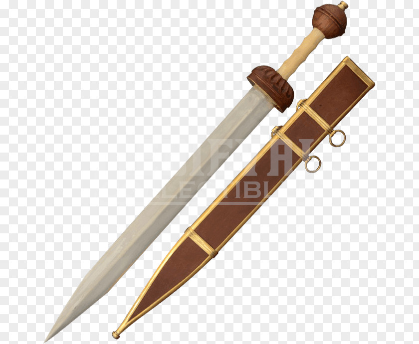 Sword Dagger Gladius Weapon Parazonium PNG