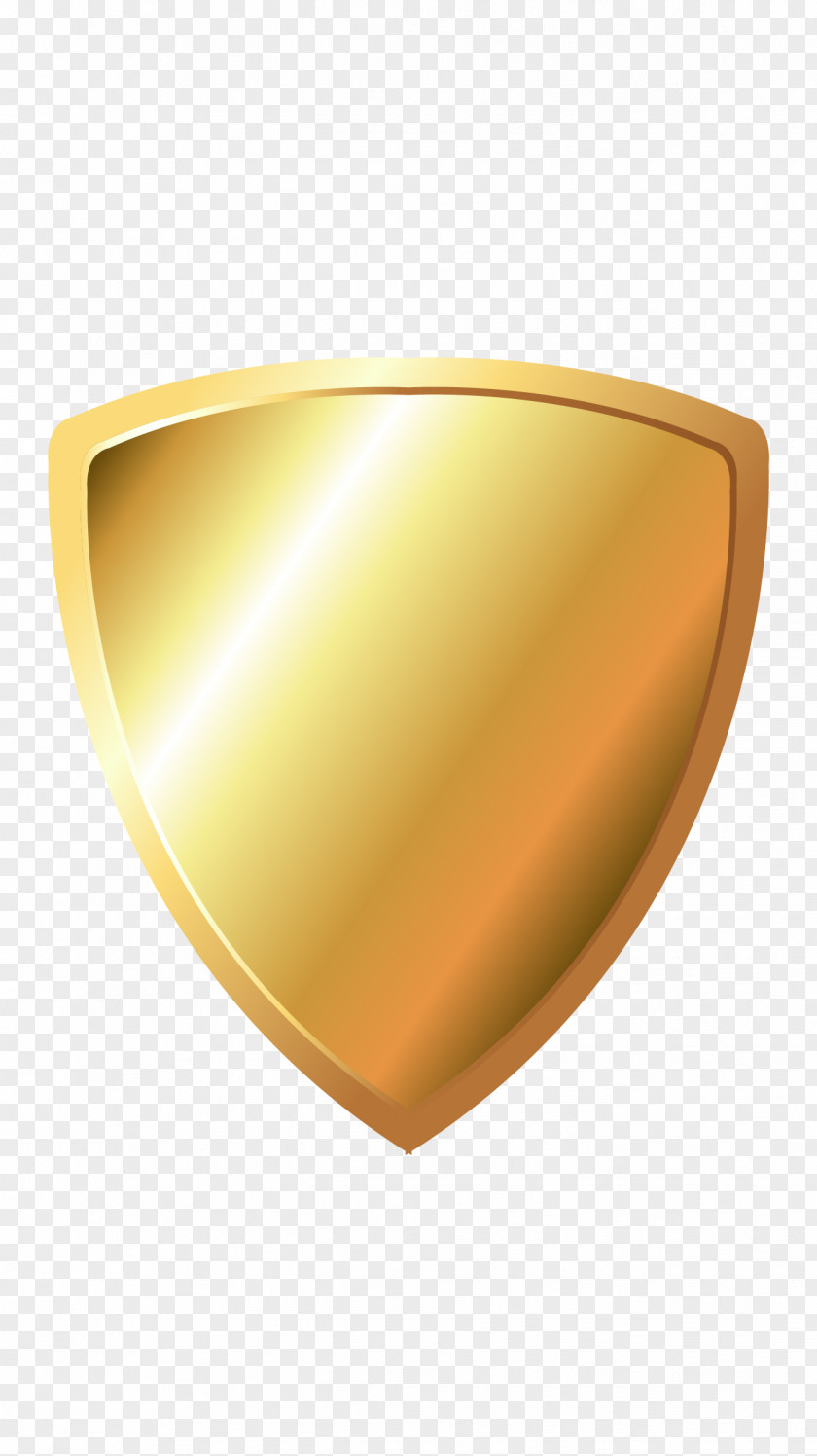 Vector Shield Euclidean PNG