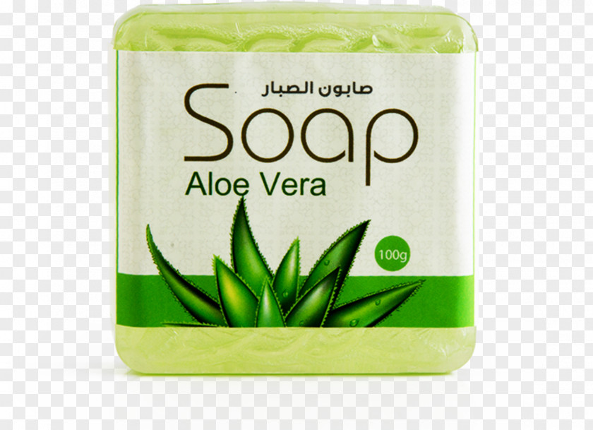 Aloe Vera Drawing Skin Care Lotion Product Cosmetics PNG
