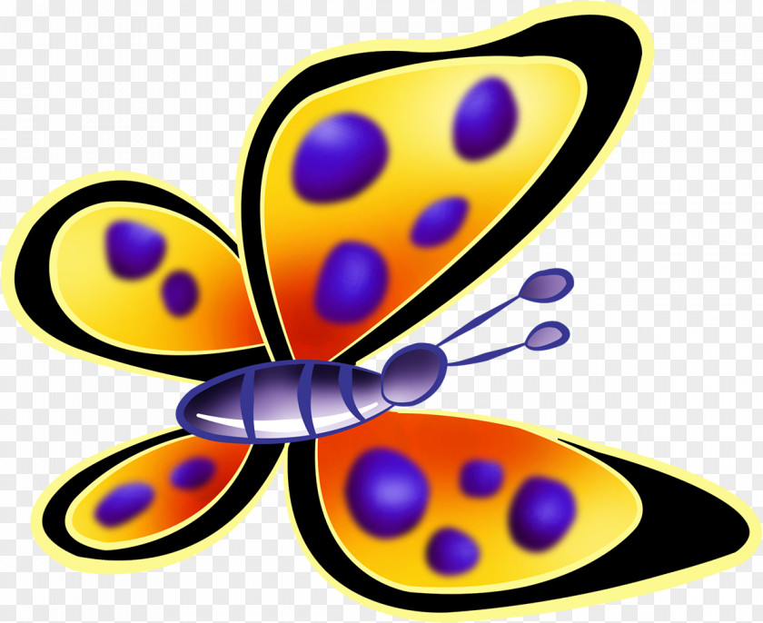 Butterfly Monarch Clip Art Image Insect PNG