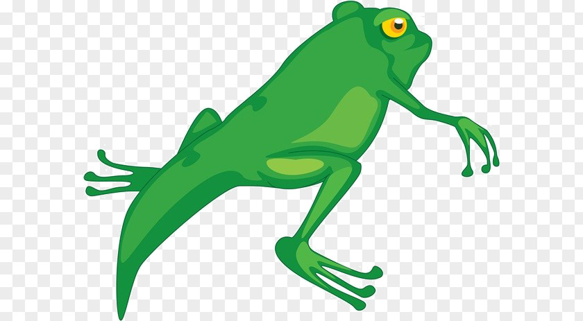 Cartoon Lizard Material Frog Tadpole Clip Art PNG