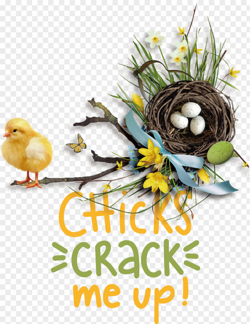 Chicks Crack Me Up Easter Day Happy PNG