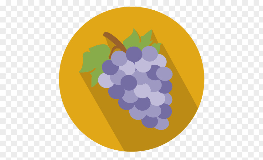 Circulo Grape PNG