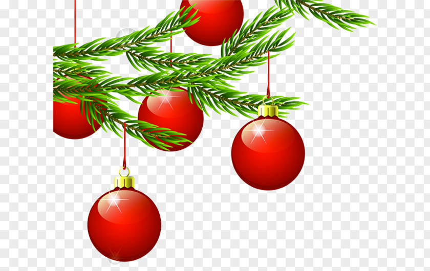 Creative Beautiful Green Christmas Tree Branch Pendant Ornament PNG