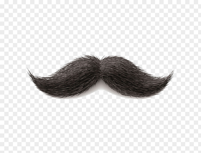 Moustache Handlebar Clip Art Image PNG