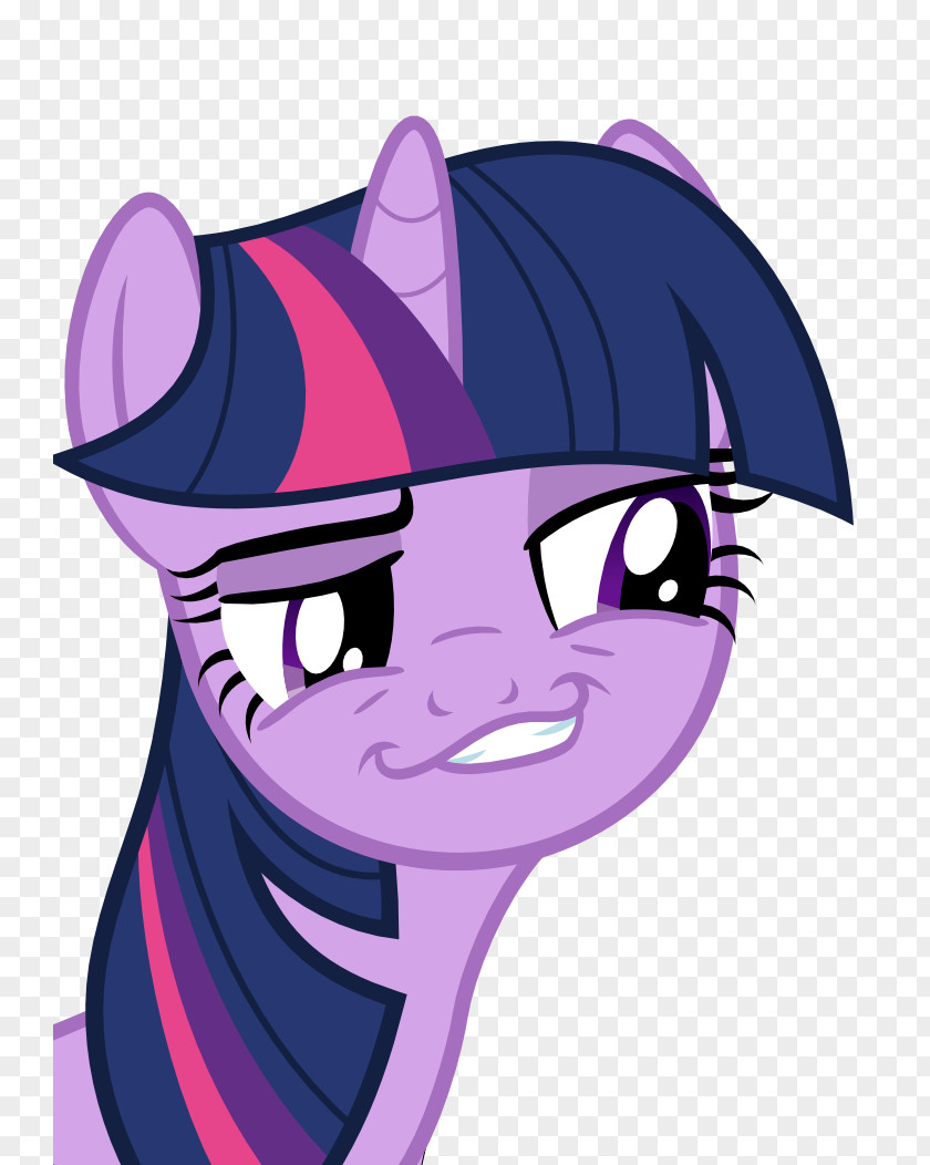 My Little Pony Twilight Sparkle Rainbow Dash Pinkie Pie Rarity PNG