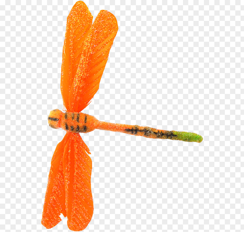 Orange Dragonfly Insect Mon Pays, La France! Bannixe8res Blog Clip Art PNG