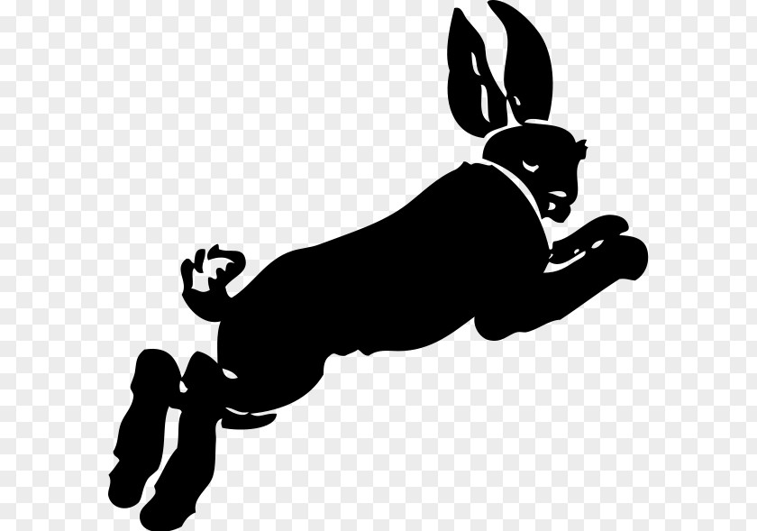 Rabbit Hare Bunny Book White Clip Art PNG