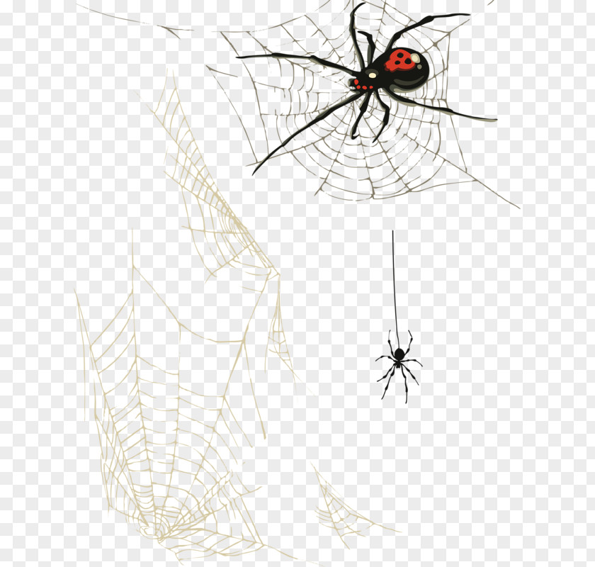 Spider Webs Web Clip Art PNG