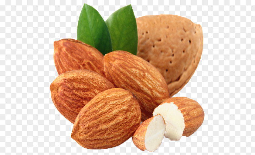 Almond Carrier Oil Food Nut PNG