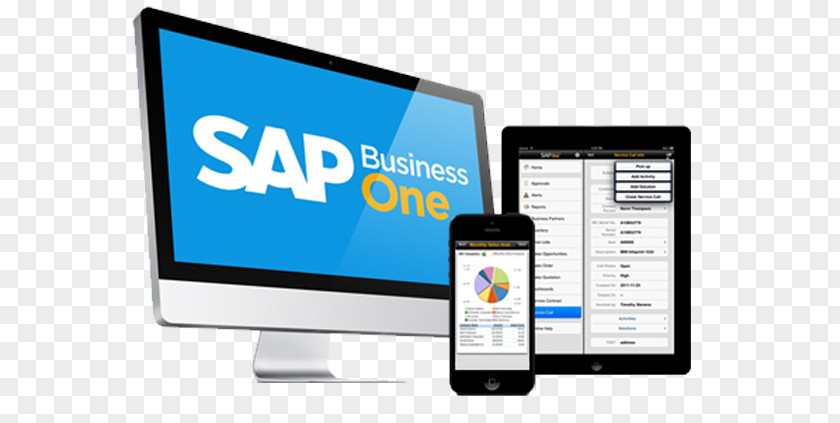 Business SAP One Enterprise Resource Planning SE ERP PNG