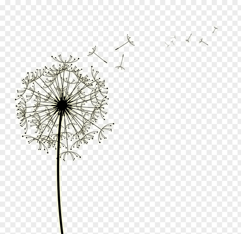 Dandelion Seed Clip Art Image Vector Graphics Free Content PNG