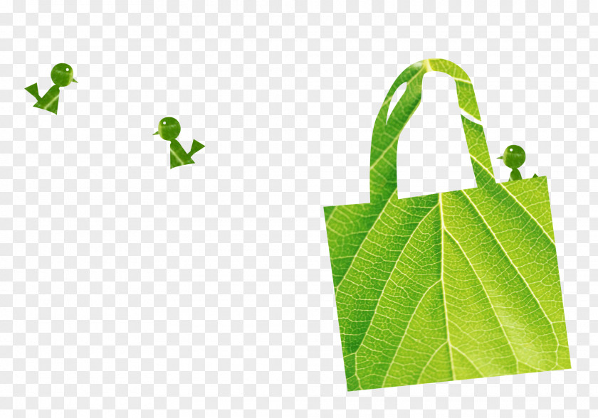 Green Bag Paper PNG