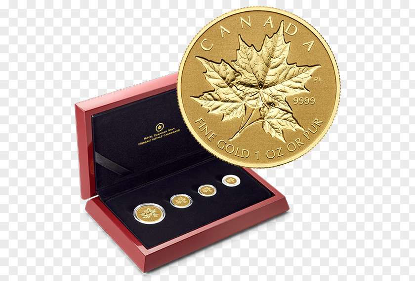 Silver Leaf Coin Canada Maple Gold Sugar PNG
