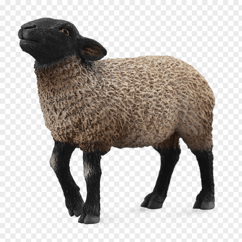 Suffolk Sheep Norfolk Horn Merino Southdown Toy PNG