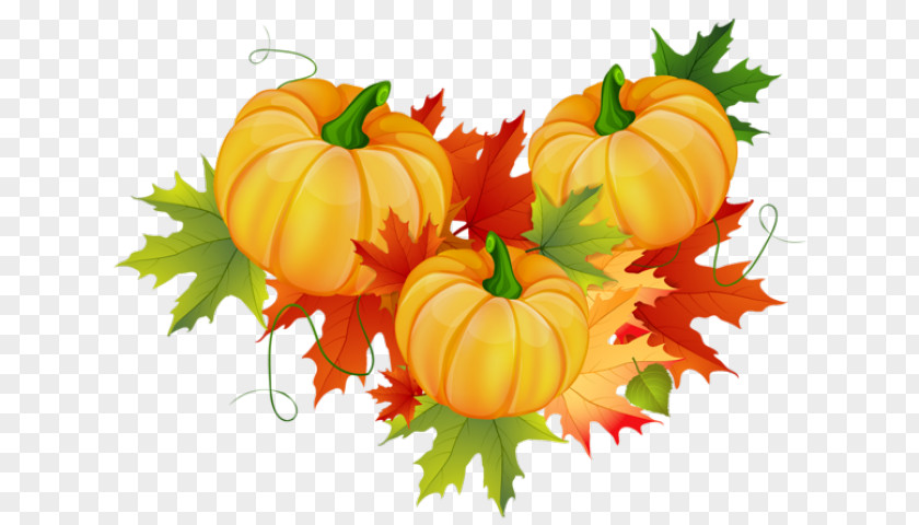 Thanksgiving Ornament Clip Art Image Pumpkin PNG