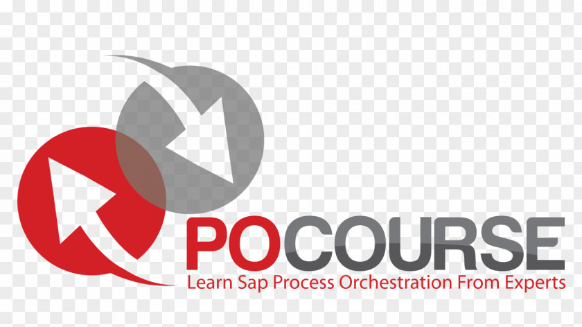 Business Logo SAP NetWeaver Process Integration Training Consultant PNG