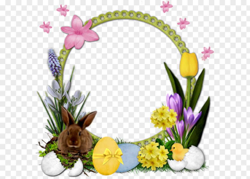Easter Frame Picture Frames Window Photography PNG