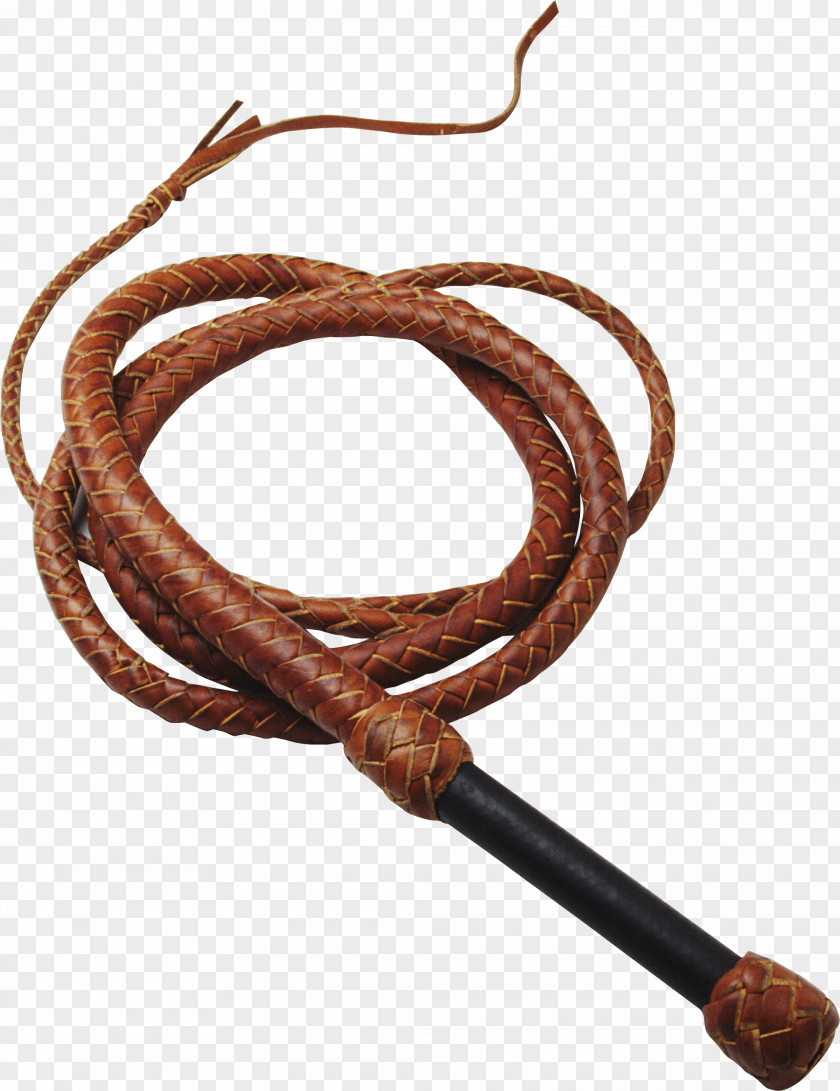 Forcess Knout Whip PNG