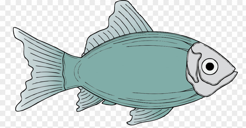 Freshwater Fish Free Content Clip Art PNG