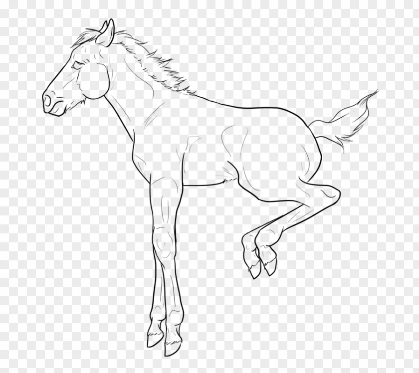 Mustang Foal Mule Thoroughbred Line Art PNG