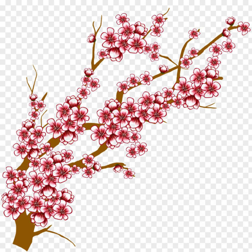 Twig Cut Flowers Cherry Blossom Tree Drawing PNG