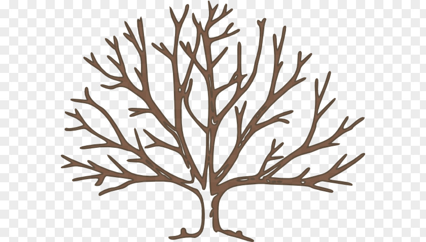 Bare Tree Template Clip Art PNG