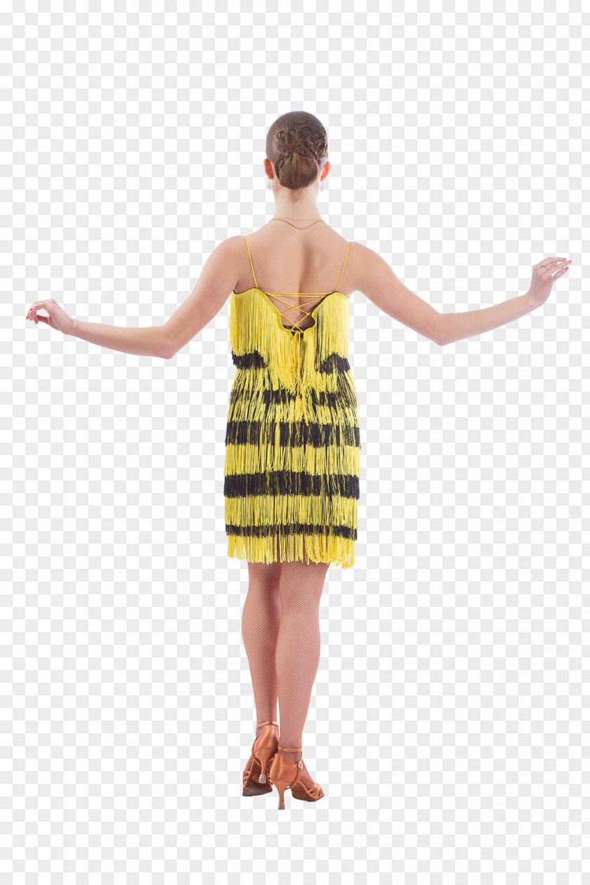 Cocktail Dress Shoulder Costume PNG