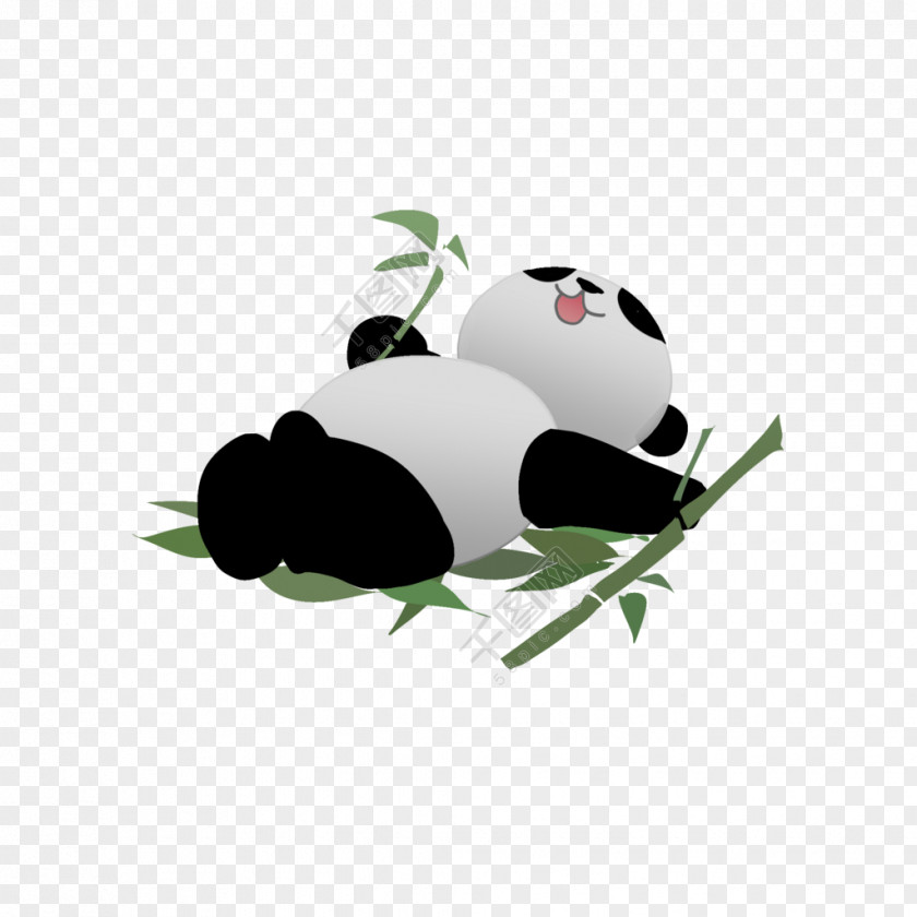 Giant Panda Bear Design Image Download PNG